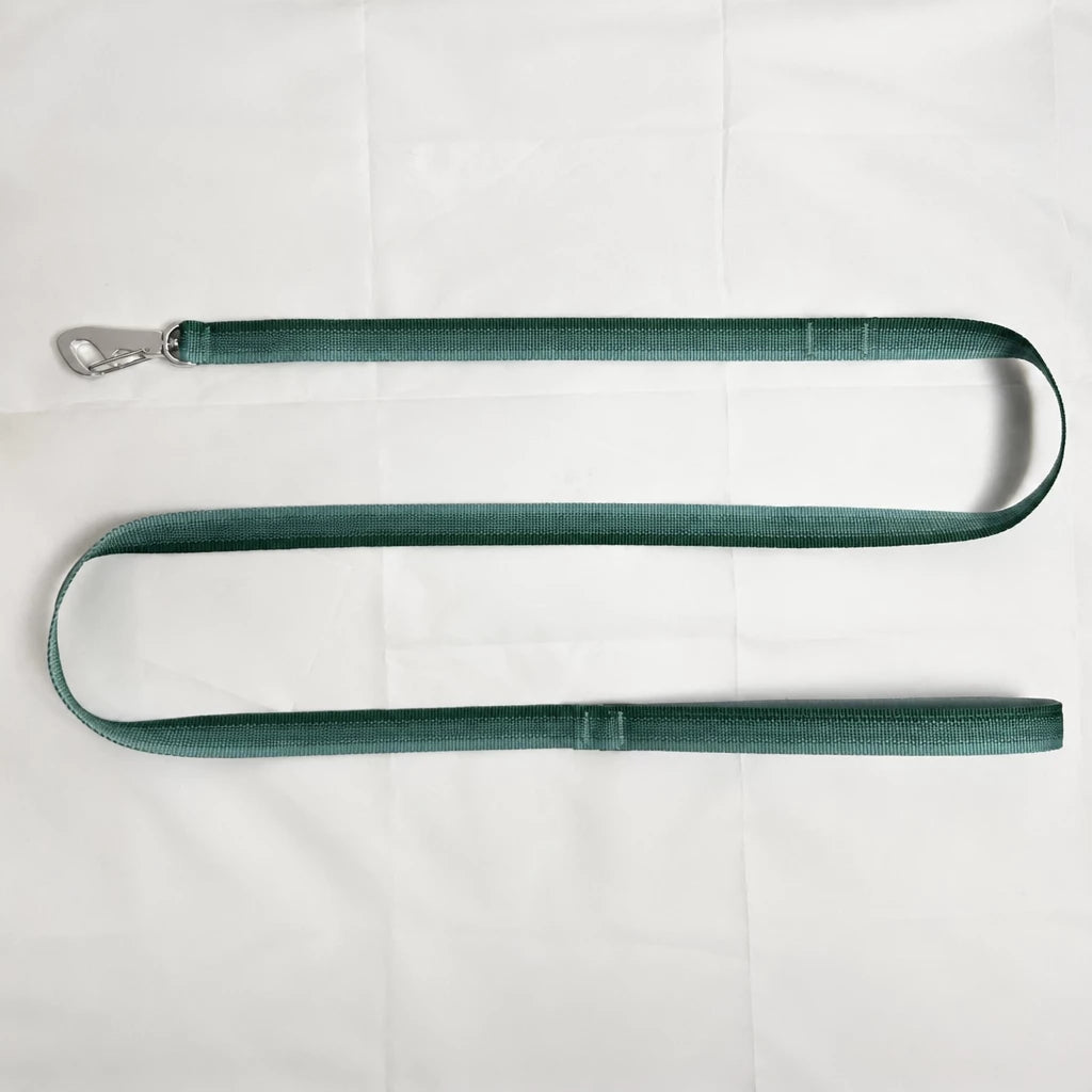 Lightweight Quick-Dry Polyester Dog Leash