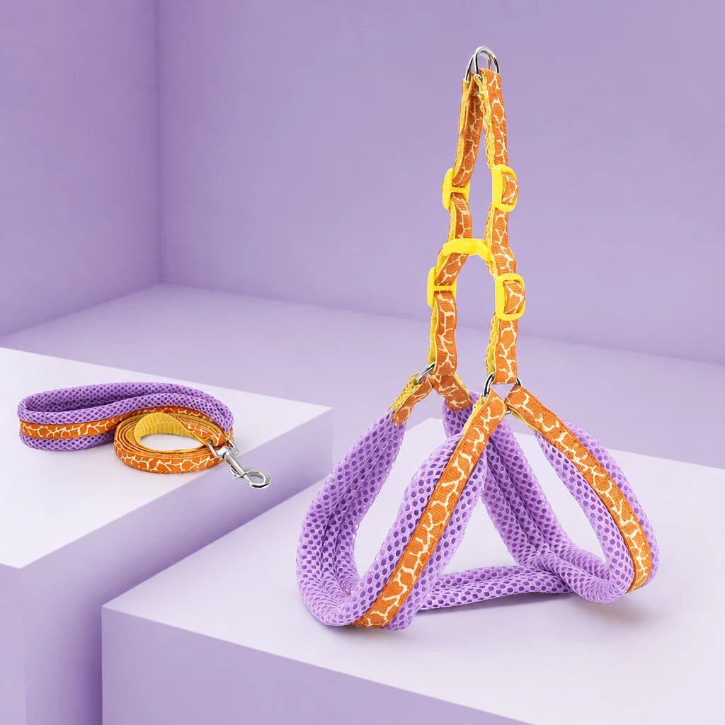 Small Dog Vest Harness and Leash