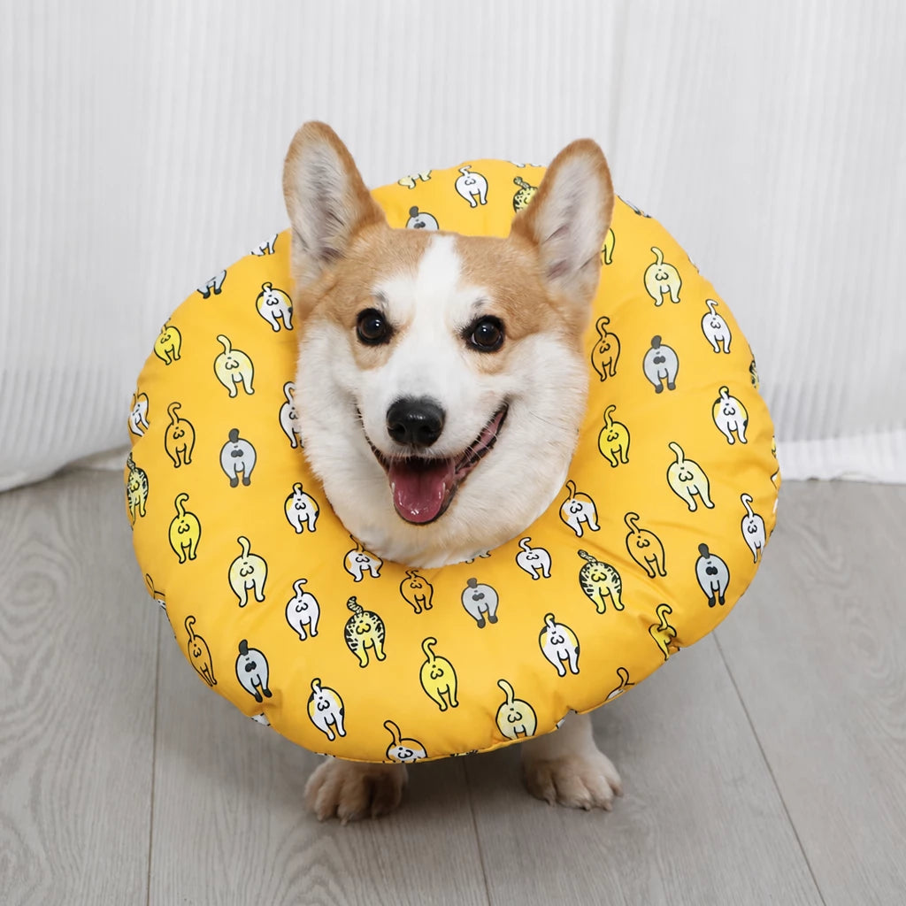 Soft Waterproof Pet Recovery Collar