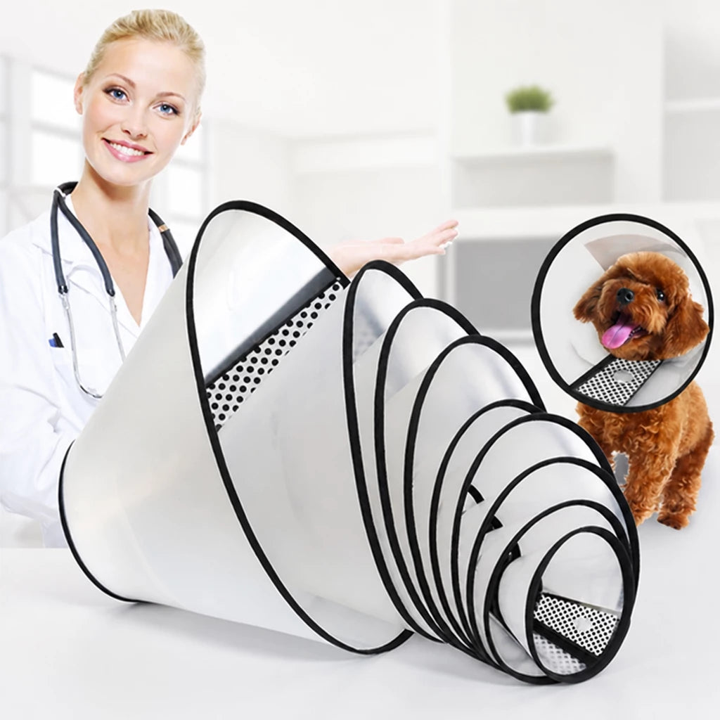 Pet Elizabethan Cone Collar