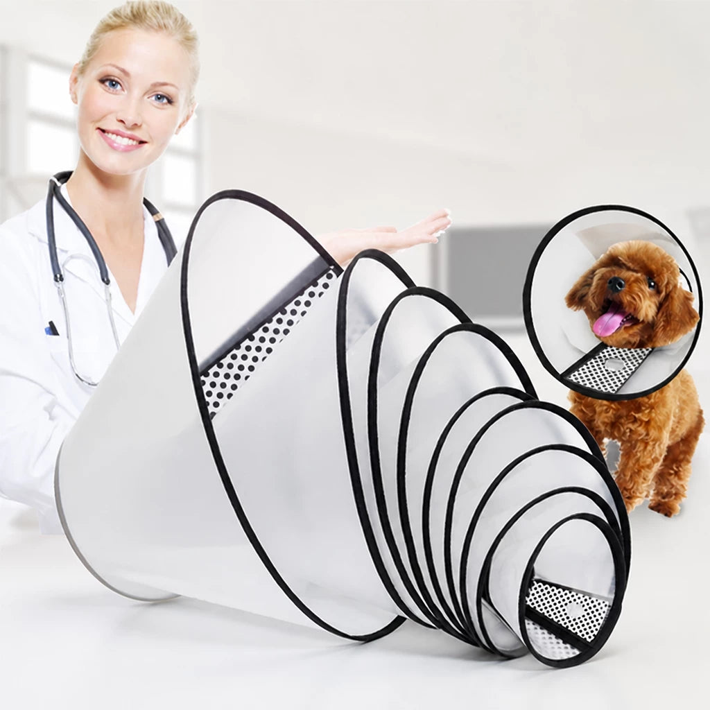 Pet Elizabethan Cone Collar
