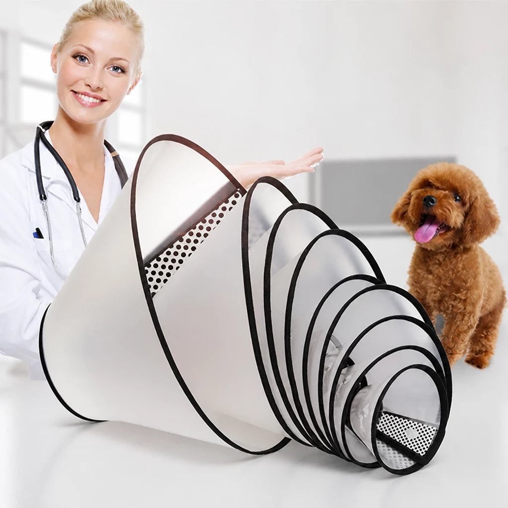 Pet Elizabethan Cone Collar