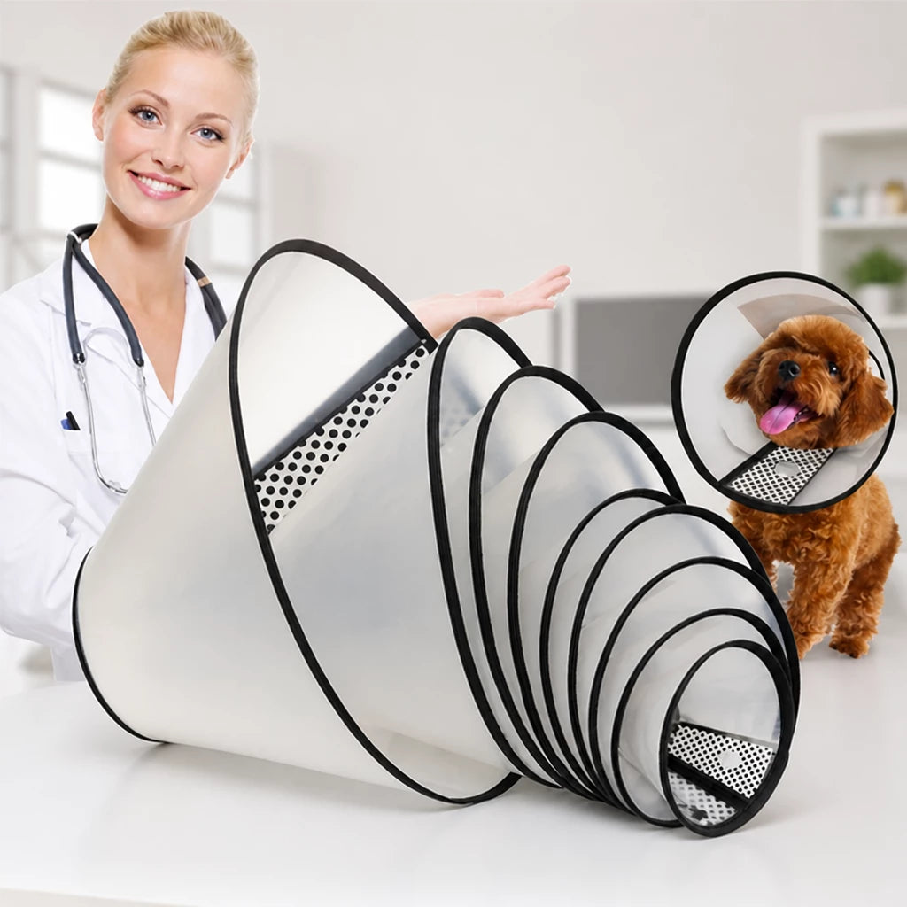 Pet Elizabethan Cone Collar