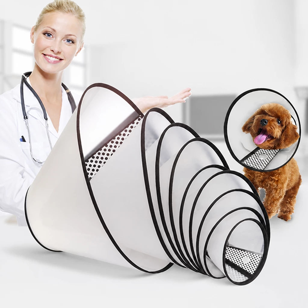 Pet Elizabethan Cone Collar