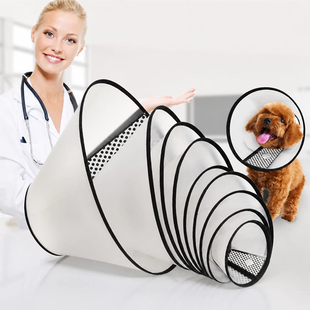 Pet Elizabethan Cone Collar