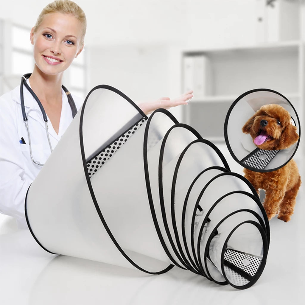 Pet Elizabethan Cone Collar