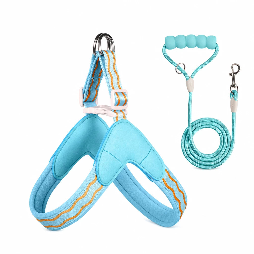 Y-Shaped Dog Harness and Leash for Small to Medium Dogs