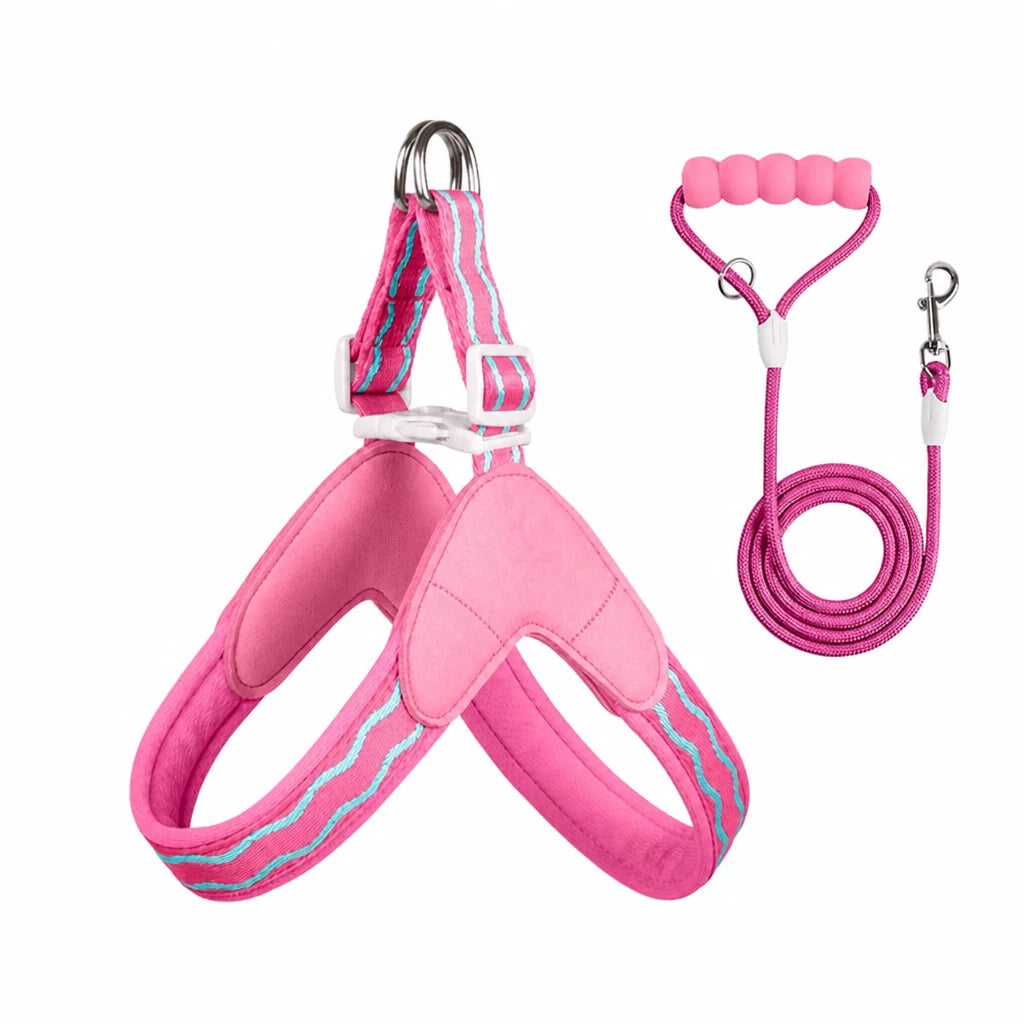 Y-Shaped Dog Harness and Leash for Small to Medium Dogs