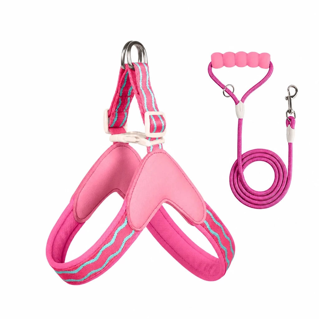 Y-Shaped Dog Harness and Leash for Small to Medium Dogs