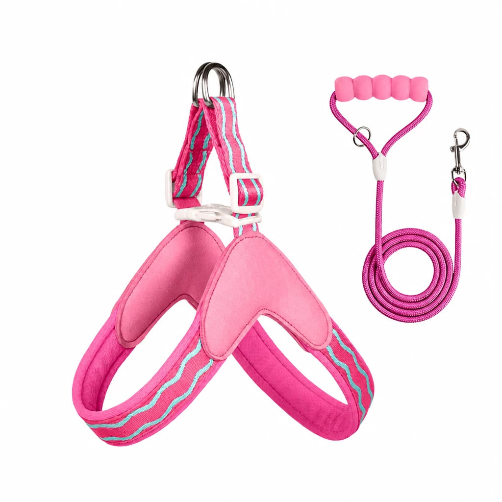 Y-Shaped Dog Harness and Leash for Small to Medium Dogs
