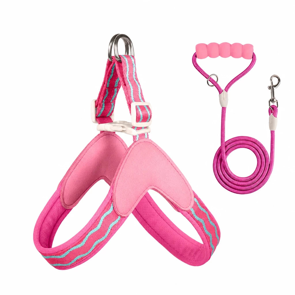 Y-Shaped Dog Harness and Leash for Small to Medium Dogs
