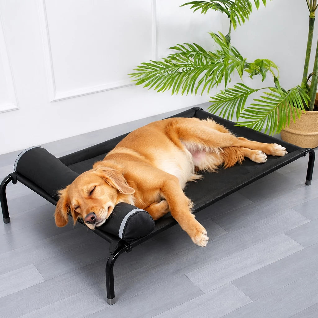 Elevated Mesh Dog Bed with Metal Frame
