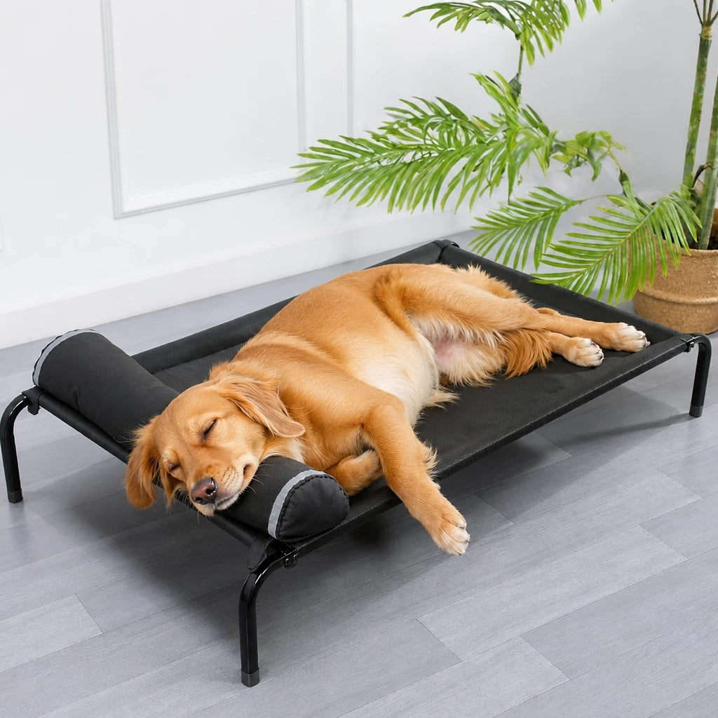 Elevated Mesh Dog Bed with Metal Frame