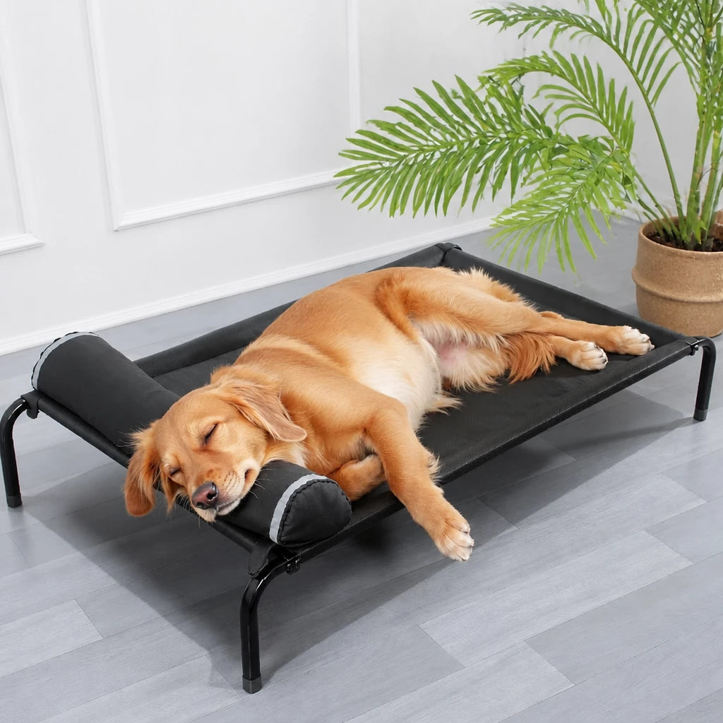 Elevated Mesh Dog Bed with Metal Frame