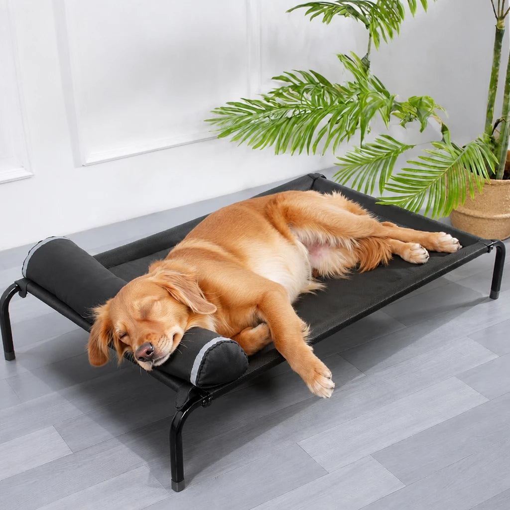 Elevated Mesh Dog Bed with Metal Frame