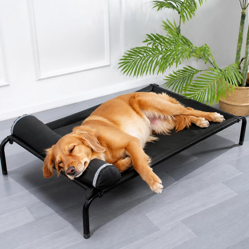 Elevated Mesh Dog Bed with Metal Frame