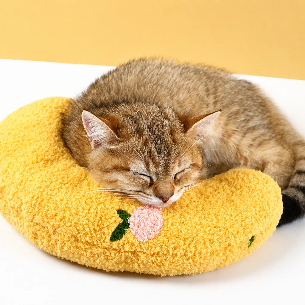 Pillow-Style Pet Bed for Cats and Dogs