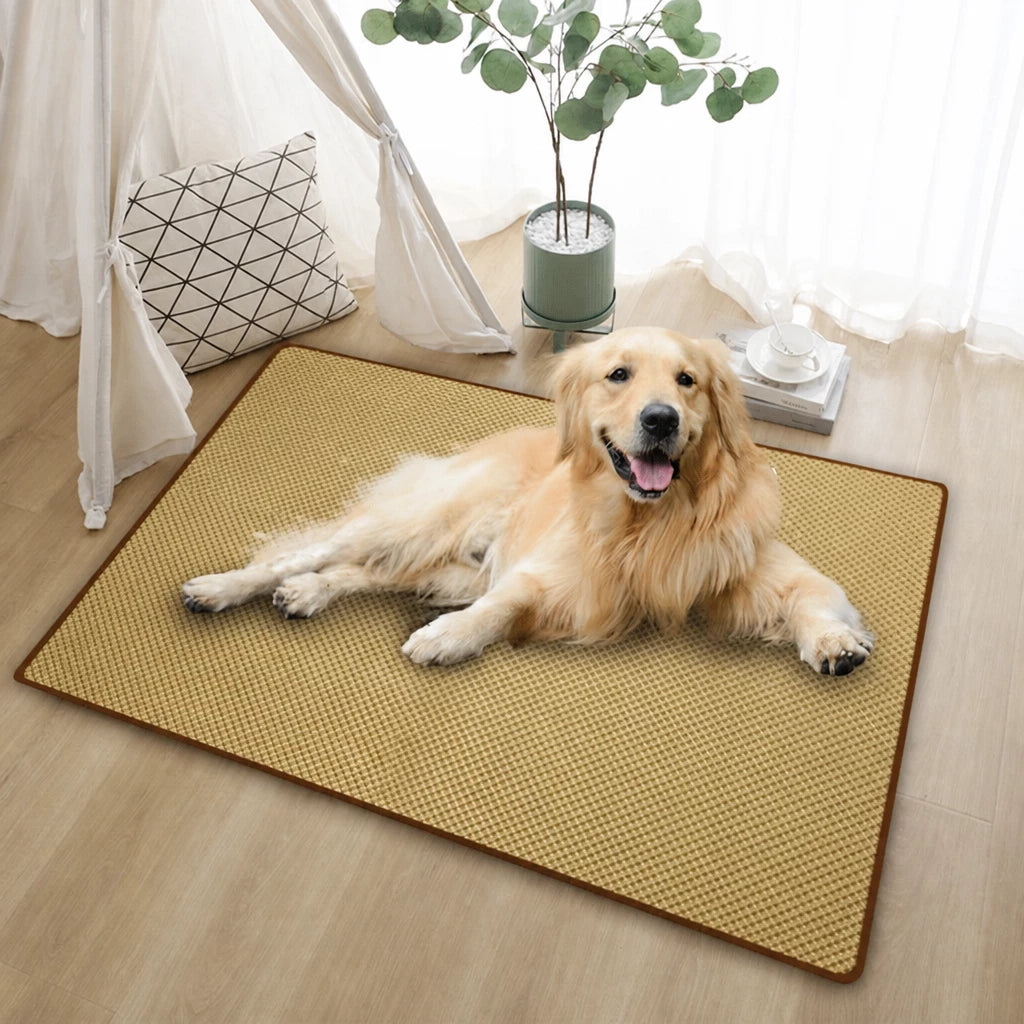Woven Rattan Pet Mat for Cats and Dogs