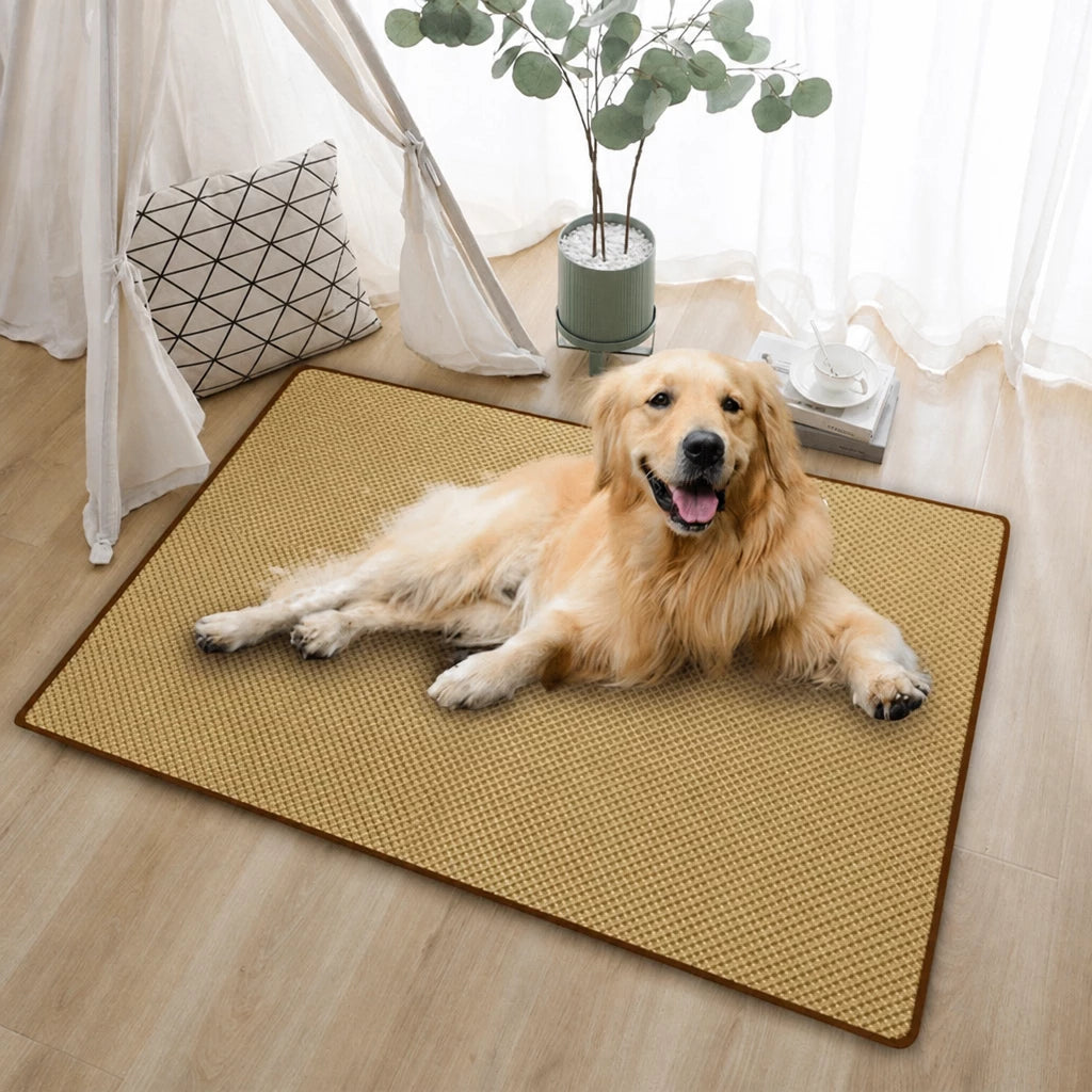 Woven Rattan Pet Mat for Cats and Dogs
