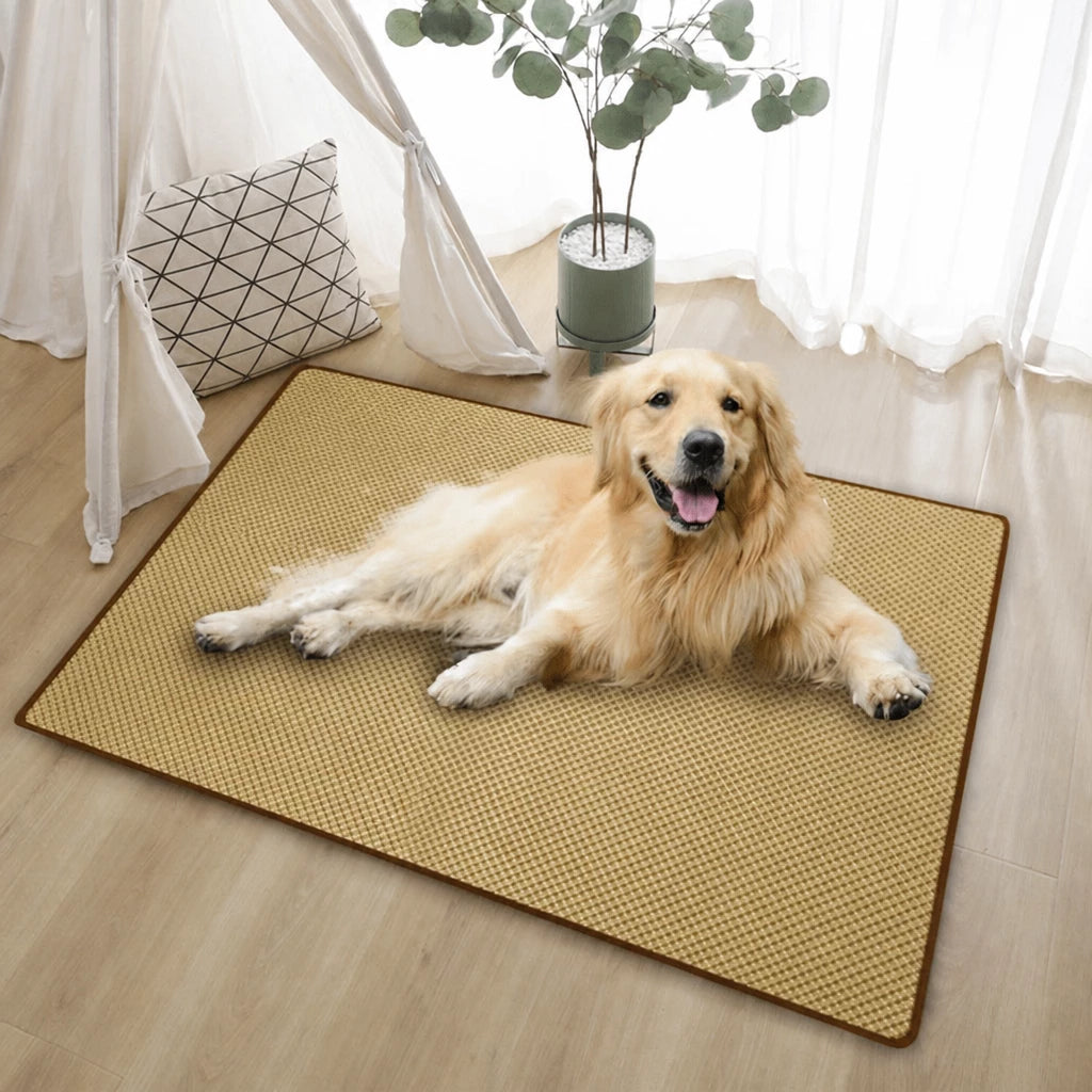 Woven Rattan Pet Mat for Cats and Dogs