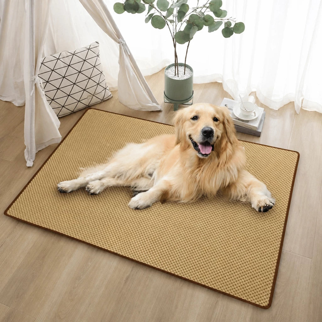Woven Rattan Pet Mat for Cats and Dogs