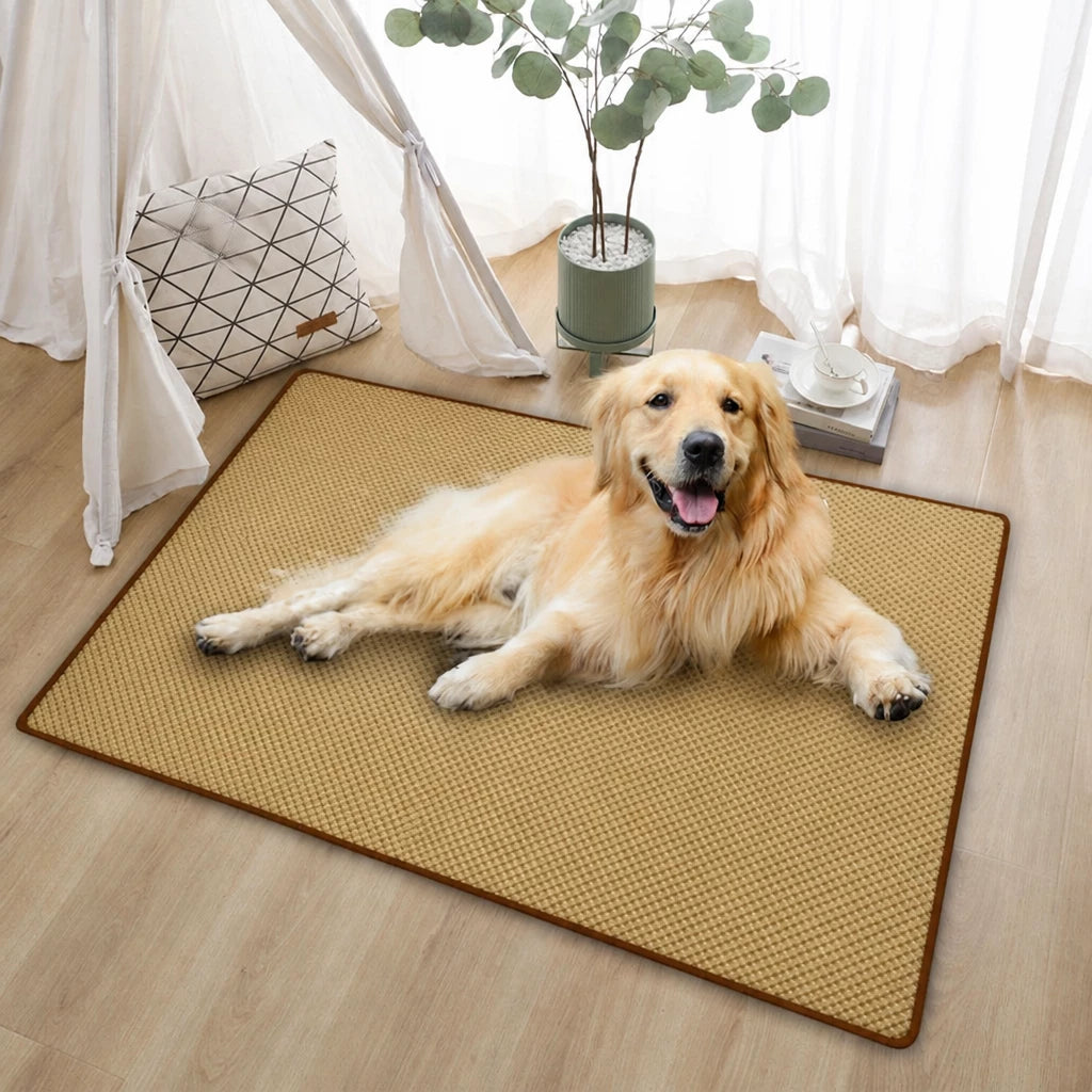 Woven Rattan Pet Mat for Cats and Dogs