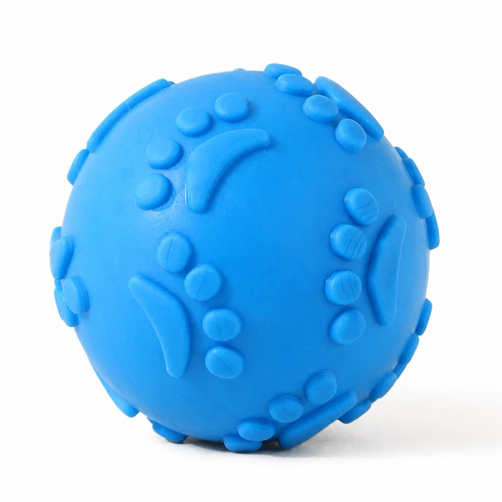 TPR Paw Print Squeaky Ball Dog Toy for Interactive Play