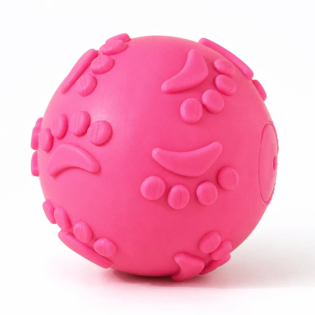 TPR Paw Print Squeaky Ball Dog Toy for Interactive Play
