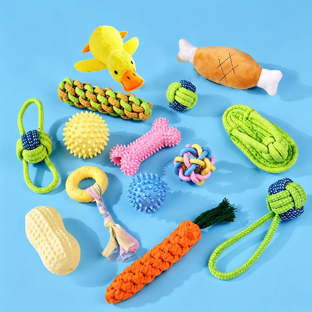 Squeaky Chew Toy Sets for Small Dogs