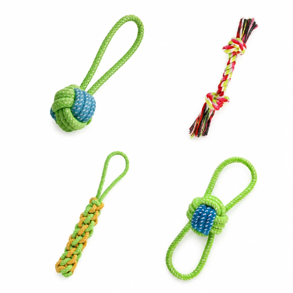 Squeaky Chew Toy Sets for Small Dogs