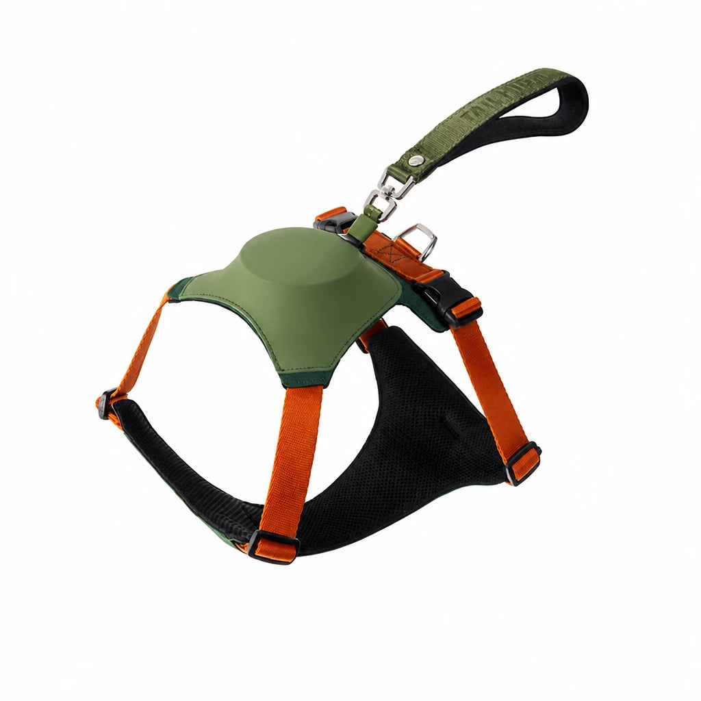 Nylon Dog Harness and Leash Set