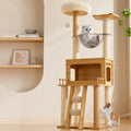 Mini Cat Tree with Enclosed Cat House and Scratching Post