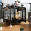 Indoor Metal Dog Crate with Waste Tray for Small to Large Dogs