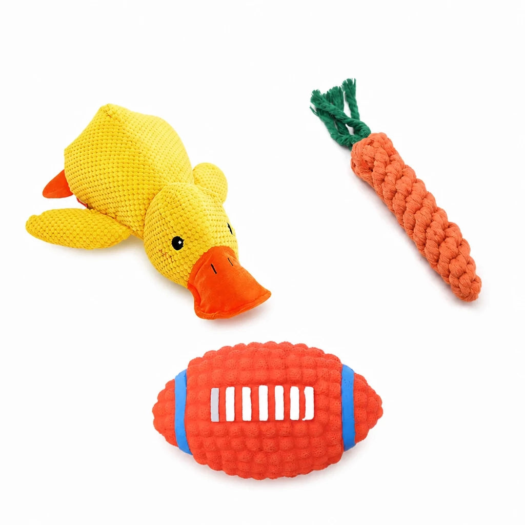 Plush Squeaky Dog Toy