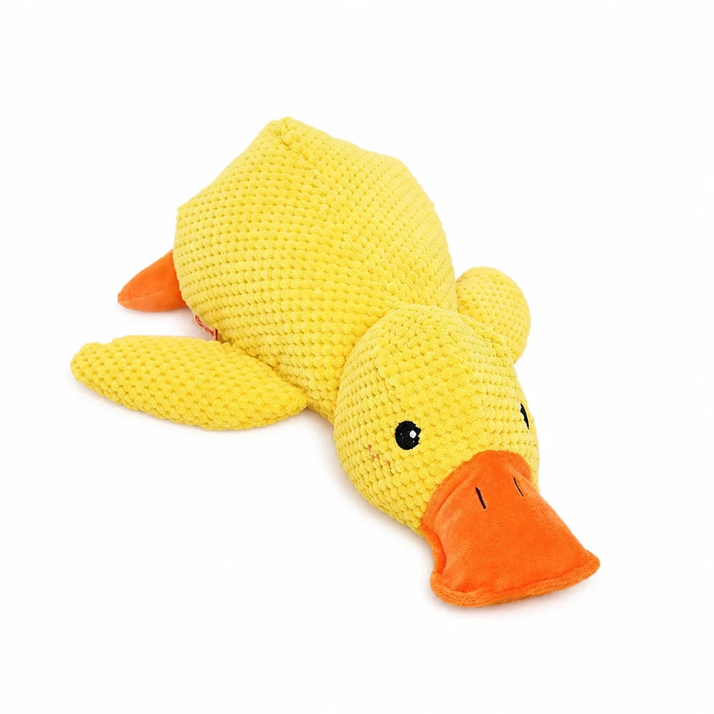 Plush Squeaky Dog Toy
