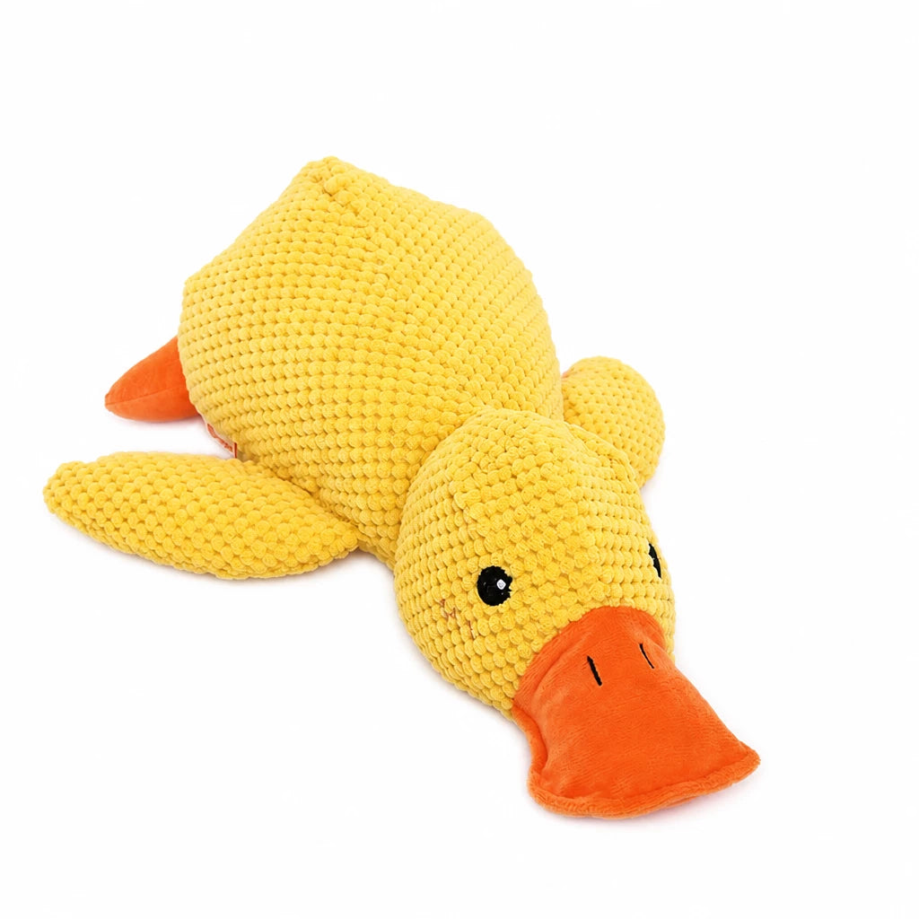 Plush Squeaky Dog Toy