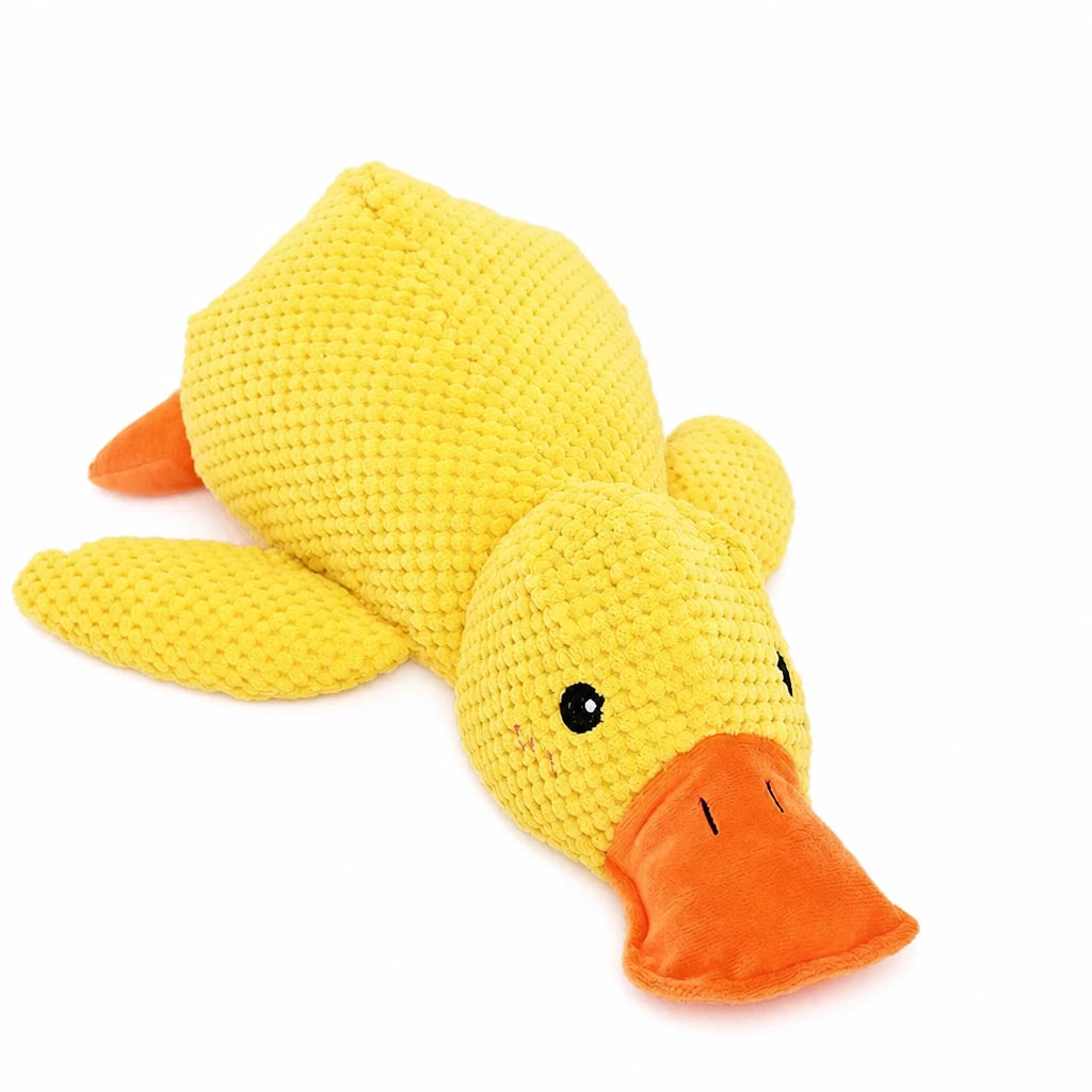 Plush Squeaky Dog Toy