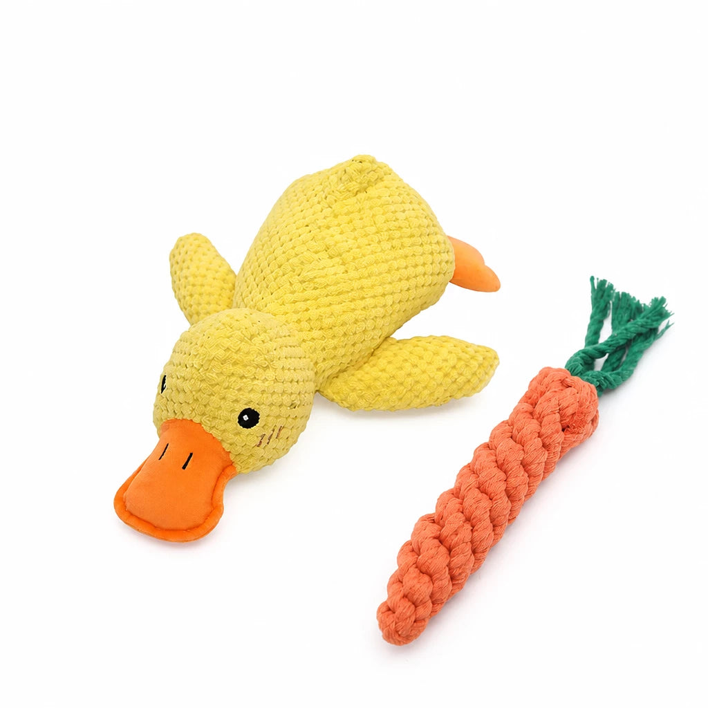 Plush Squeaky Dog Toy