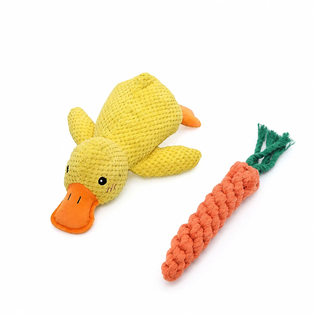 Plush Squeaky Dog Toy