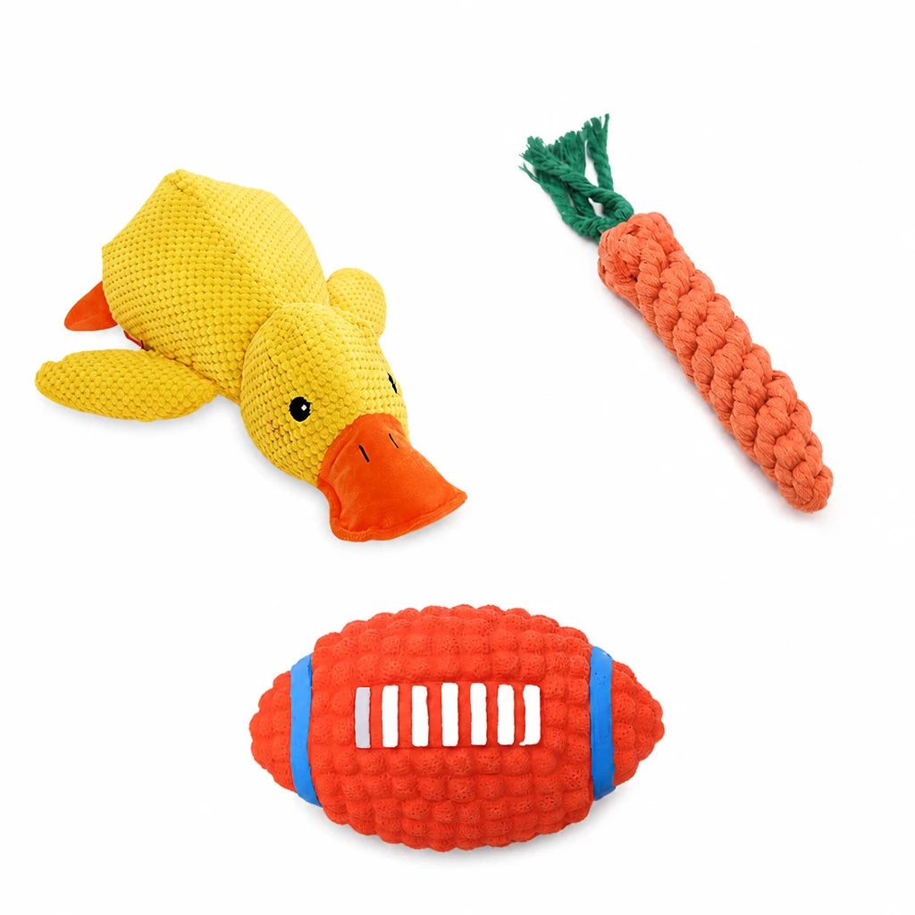 Plush Squeaky Dog Toy