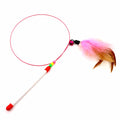 Cat Teaser Wand with Bell and Feather