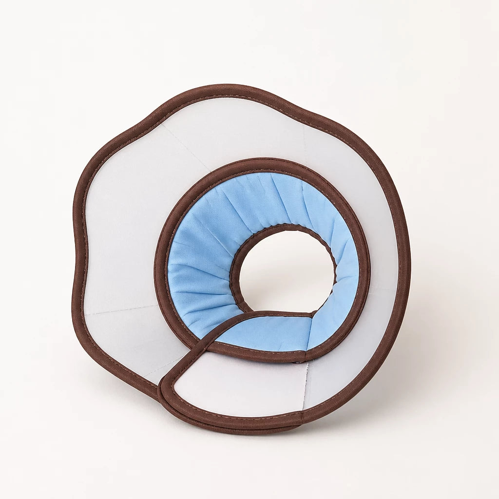 Plastic Recovery Cone for Dogs