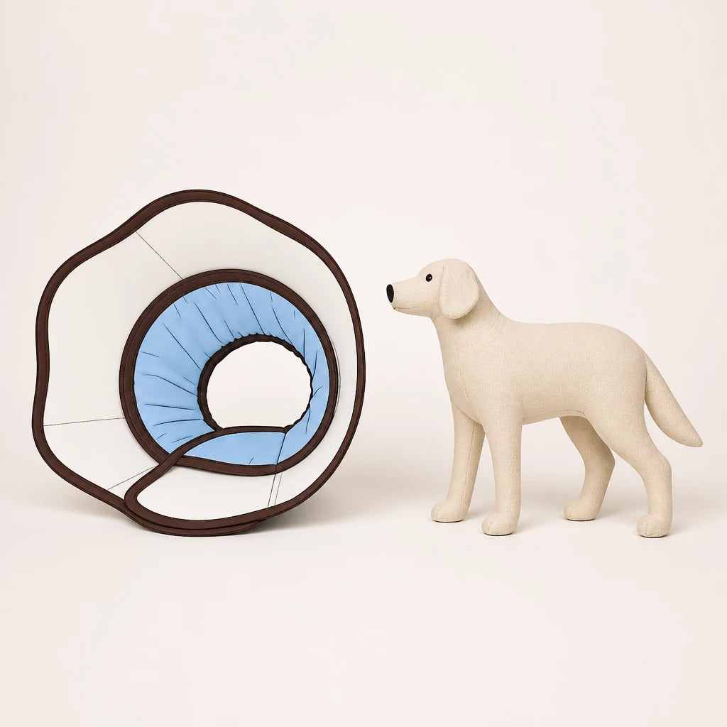 Plastic Recovery Cone for Dogs