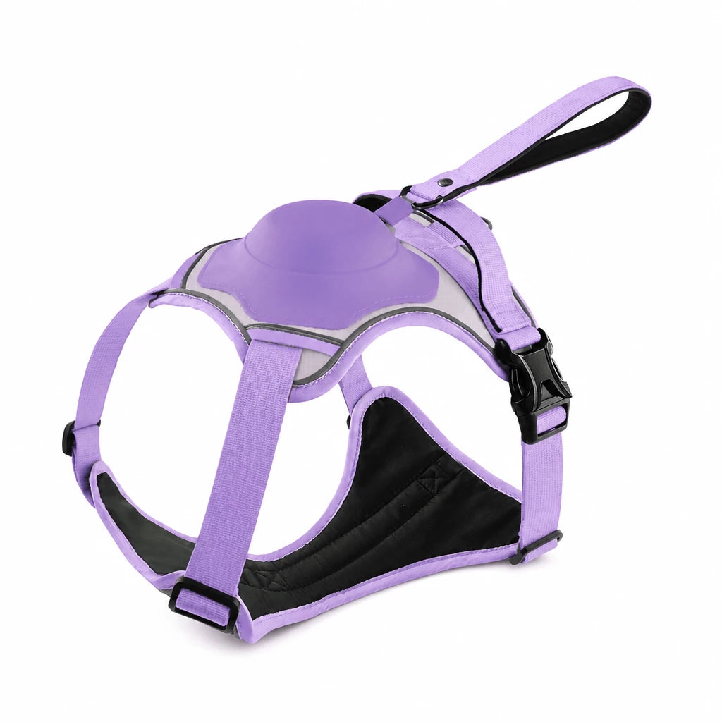 All-in-One Pet Vest Harness and Leash