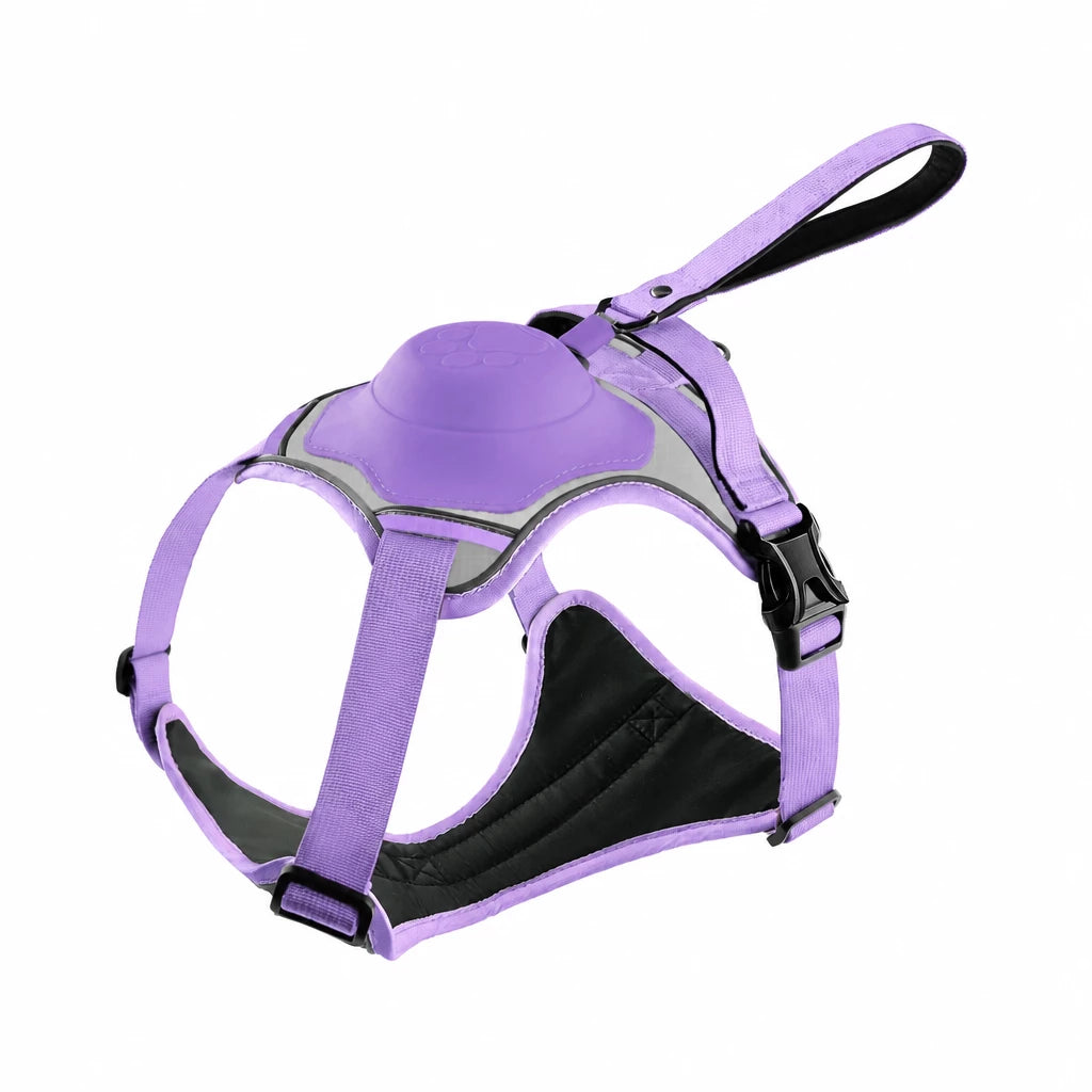 All-in-One Pet Vest Harness and Leash