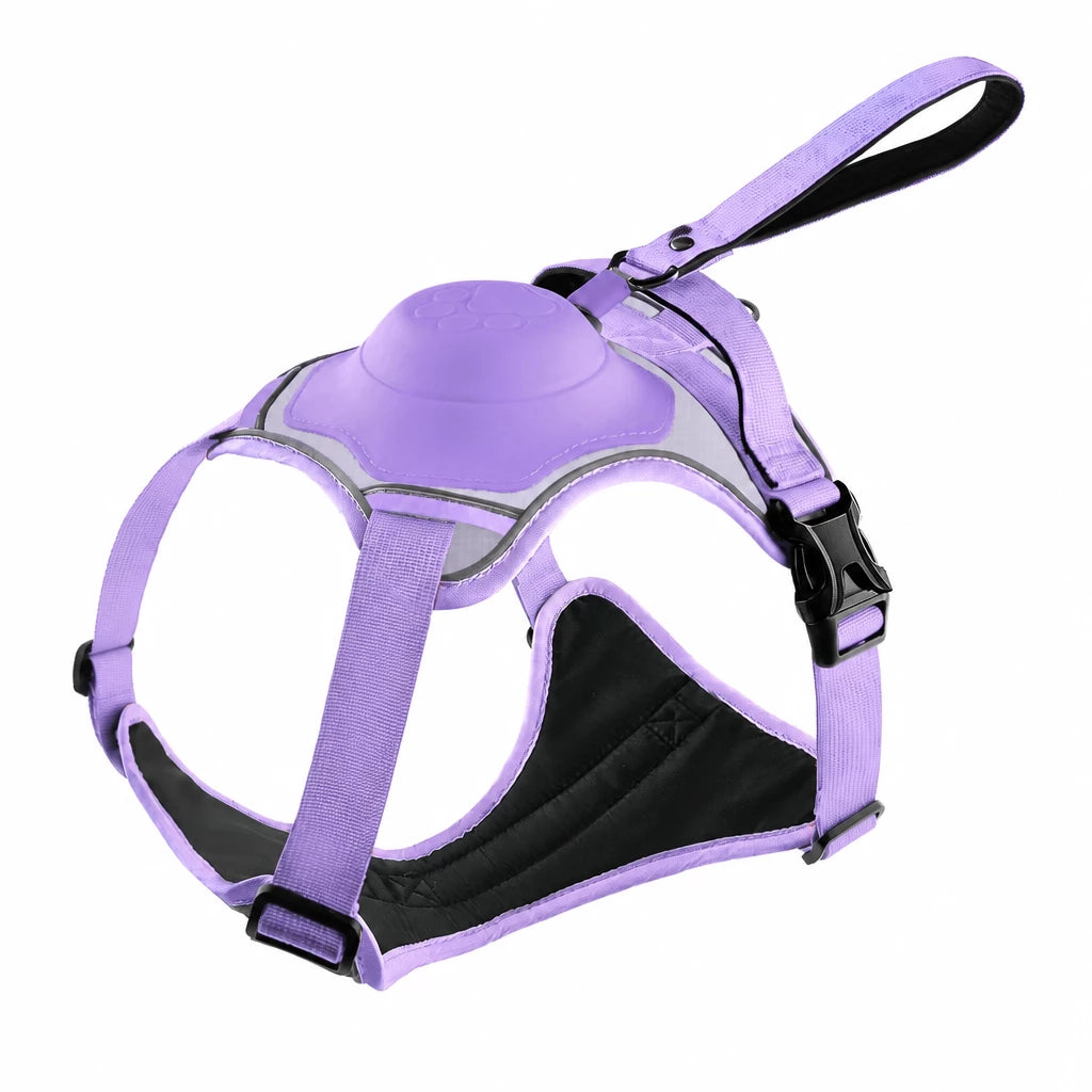 All-in-One Pet Vest Harness and Leash