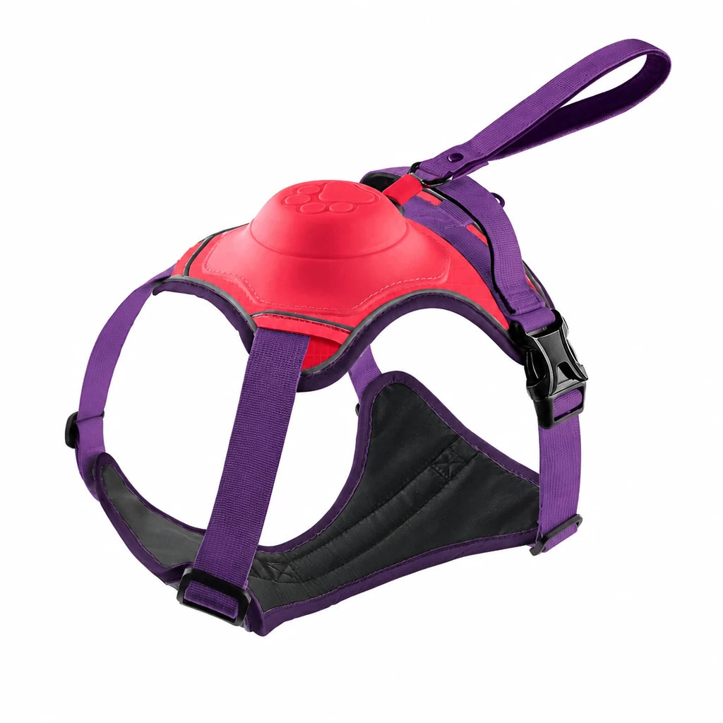 All-in-One Pet Vest Harness and Leash