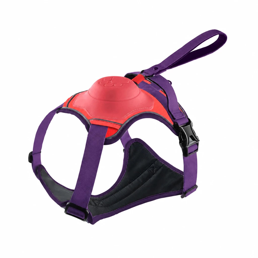 All-in-One Pet Vest Harness and Leash
