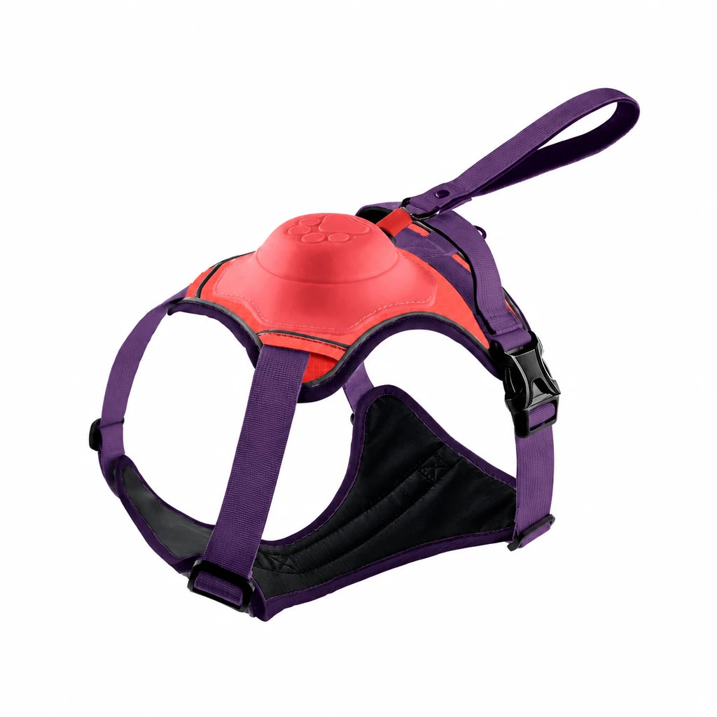 All-in-One Pet Vest Harness and Leash