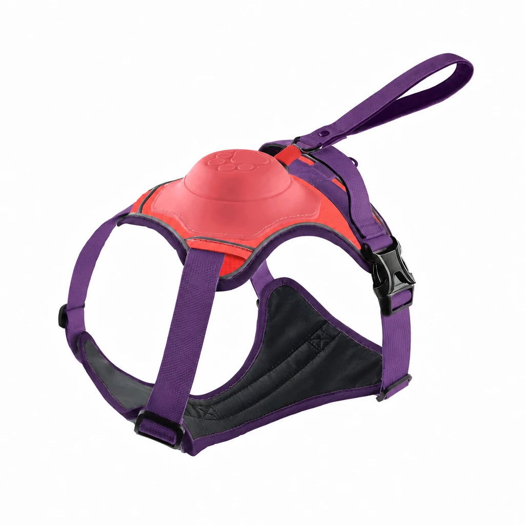 All-in-One Pet Vest Harness and Leash